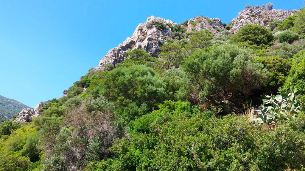 Iasonas Rooms Ágios Kírykos Εξωτερικό φωτογραφία